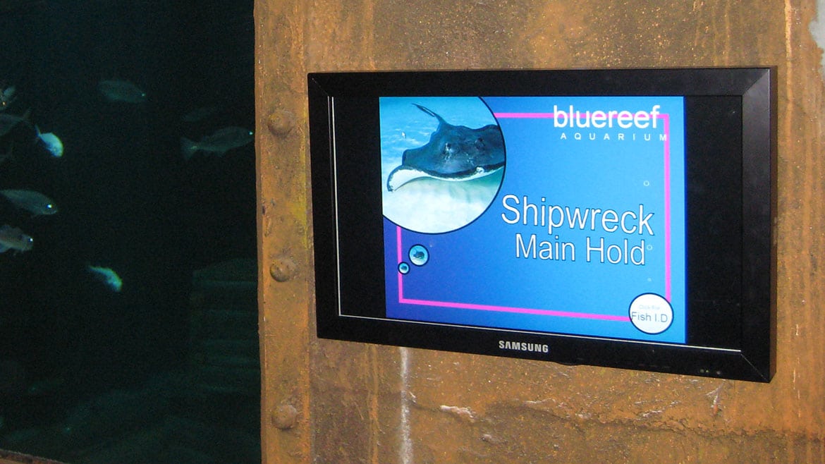 Digital Signage For Visitor Attraction Blue Reef Aquarium
